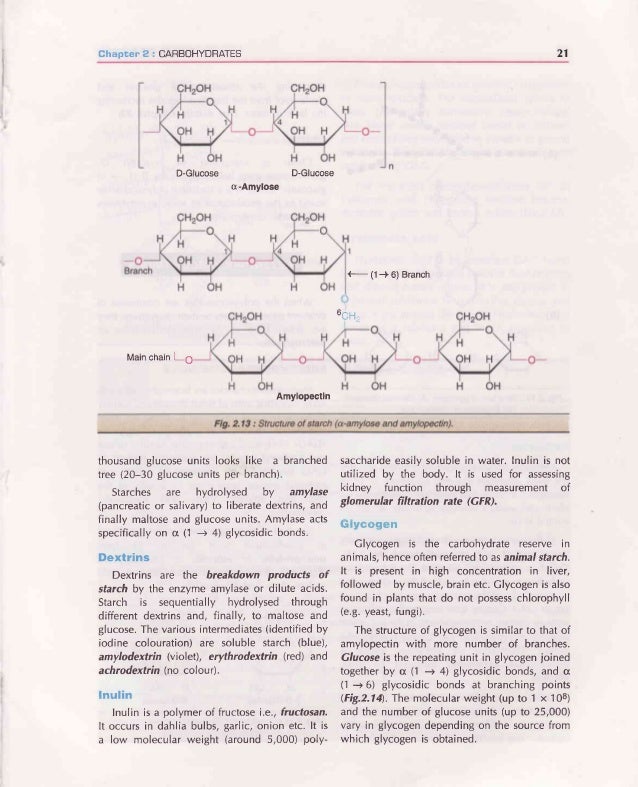 BIOCHEMISTRY BOOK BY U SATYANARAYANA PDF